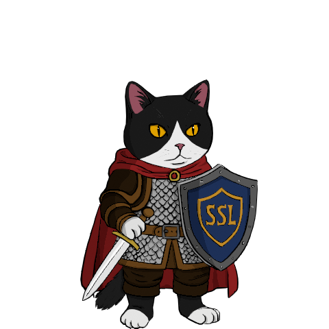 Backend Development - Security Paladin Cat – Engineering reliable, secure systems & protecting data