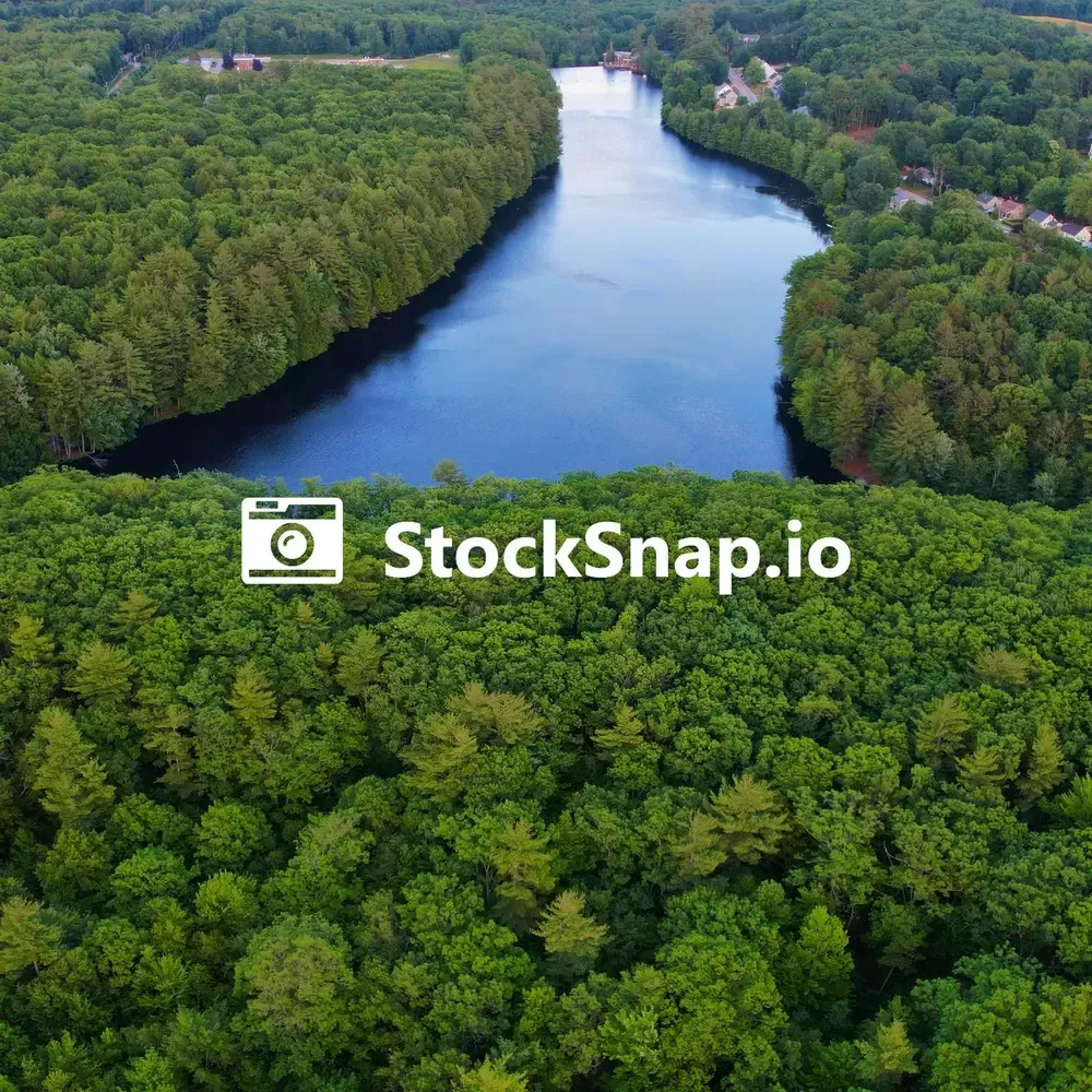 StockSnap free photo library