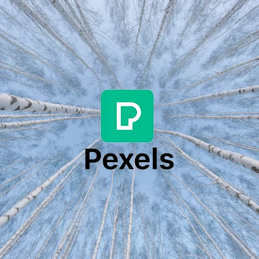 Pexels free photo library