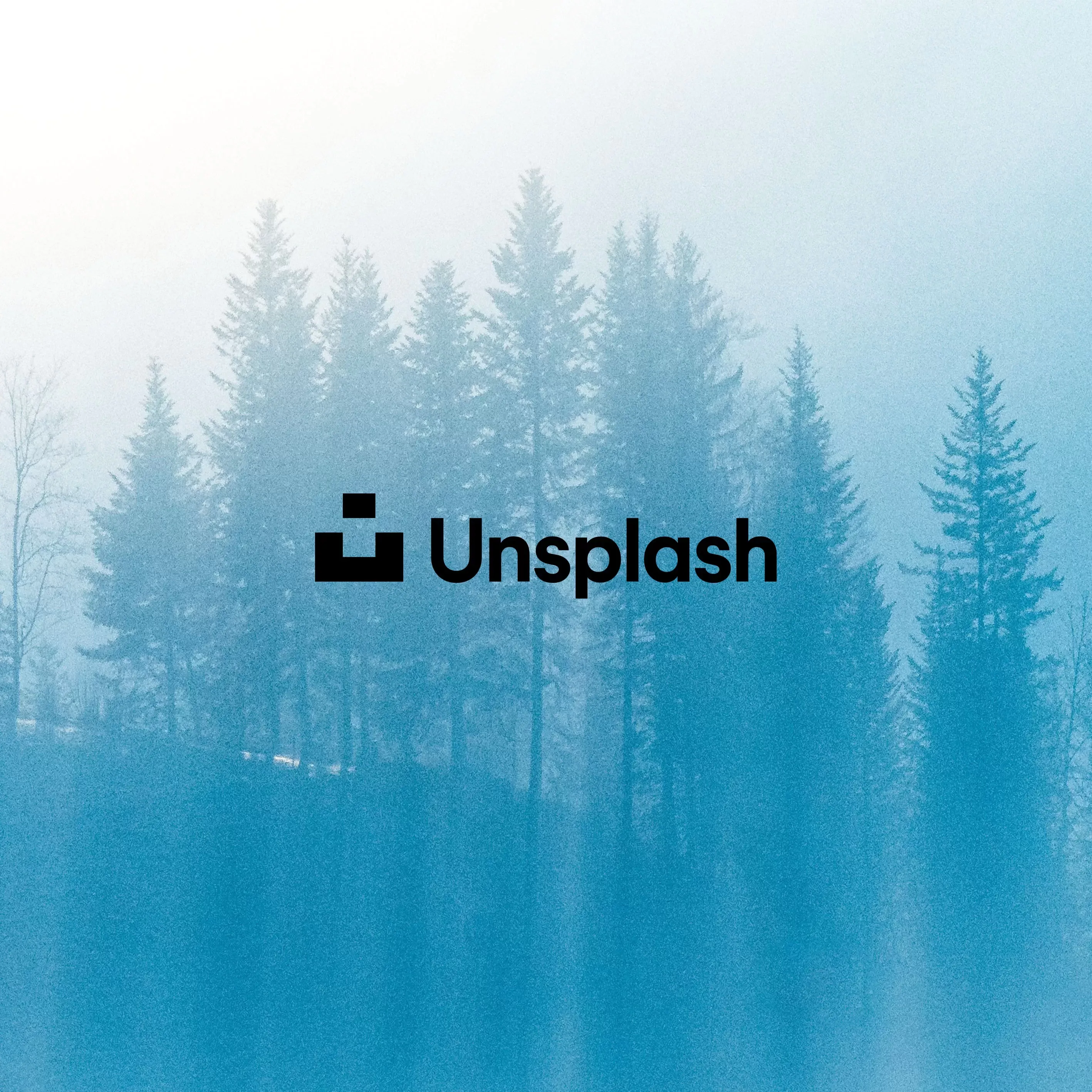 Unsplash free photo library