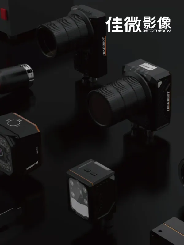 Microvision Shopping Platform - Corporate & E-commerce Web Design Project