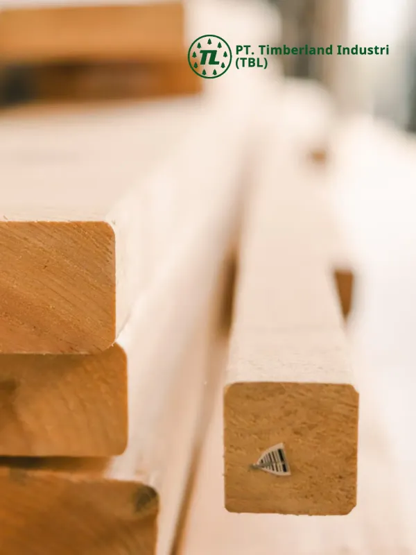 PT. Timberland Industri - Corporate & E-commerce Web Design Project