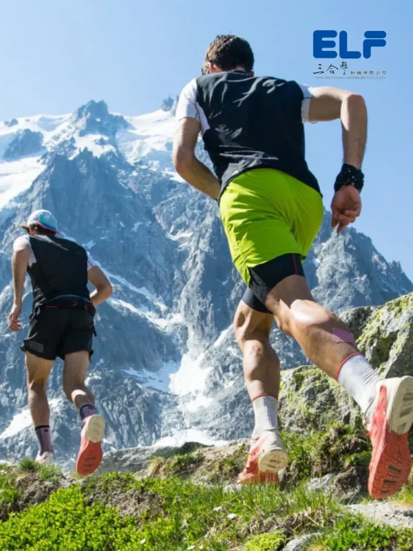 Elf Sox - Lifestyle & Travel Web Design Project