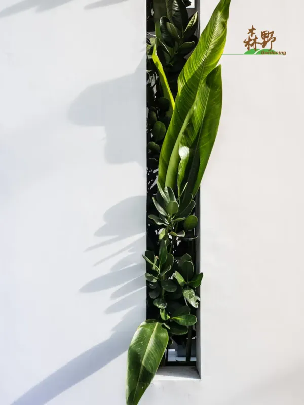 Senye Landscaping - Lifestyle & Travel Web Design Project