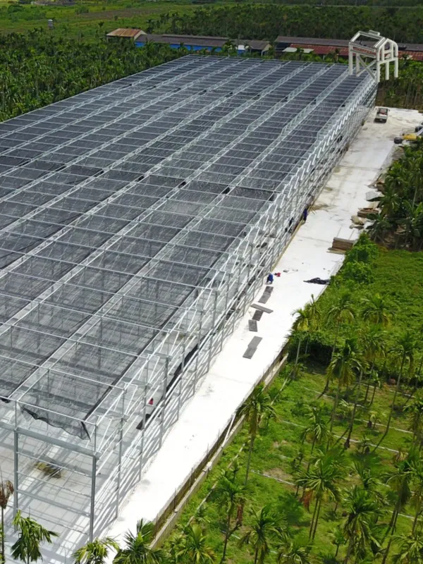 Chen Jing Steel Structure - Corporate & E-commerce Web Design Project