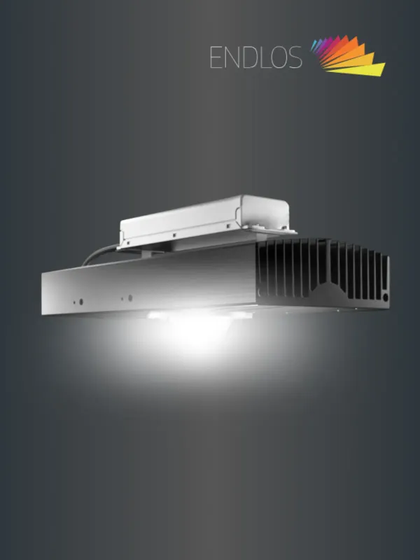 Liji Technology - Corporate & E-commerce Web Design Project