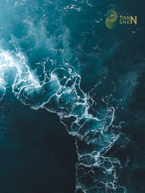 Tianshen Water - Corporate & E-commerce Web Design Project