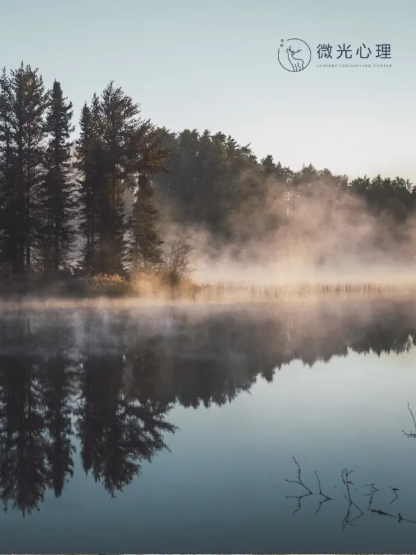 Lumiere Psychology - Corporate & E-commerce Web Design Project