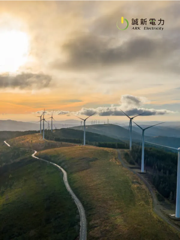 Chengxin Power - Corporate & E-commerce Web Design Project