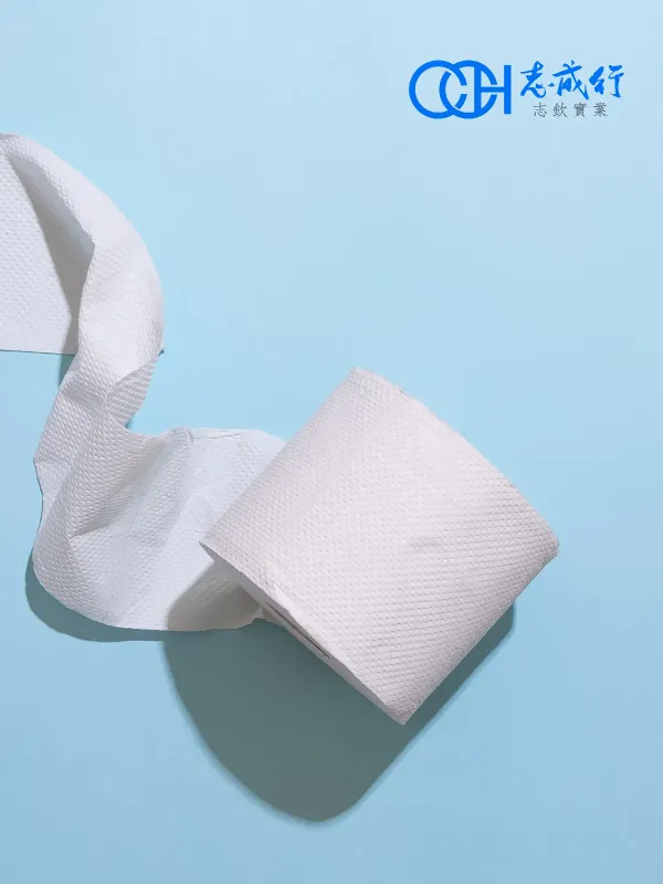 Zhicheng Line - Zhiqin Industry - Corporate & E-commerce Web Design Project