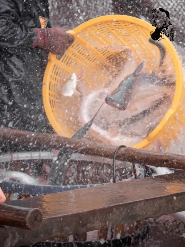 Shen Kunxi Catfish Farm - Lifestyle & Travel Web Design Project