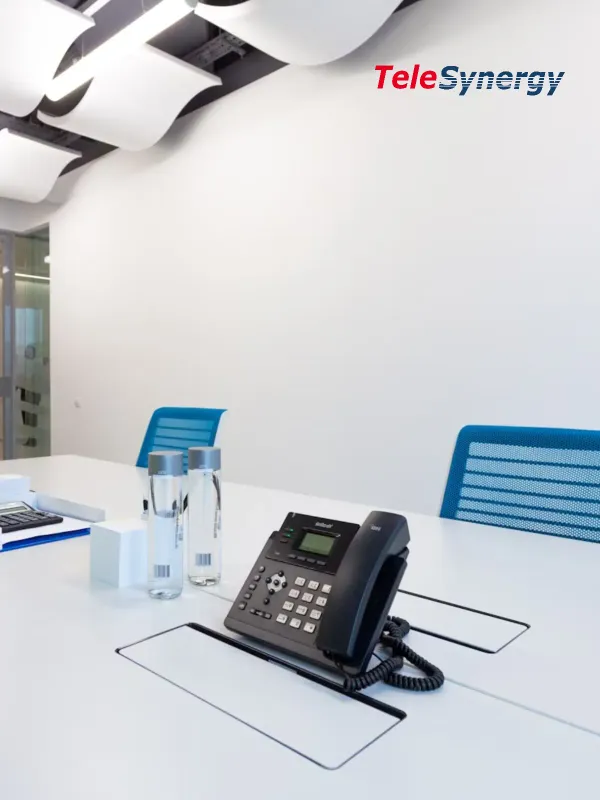 Telesynergy Technology - Corporate & E-commerce Web Design Project