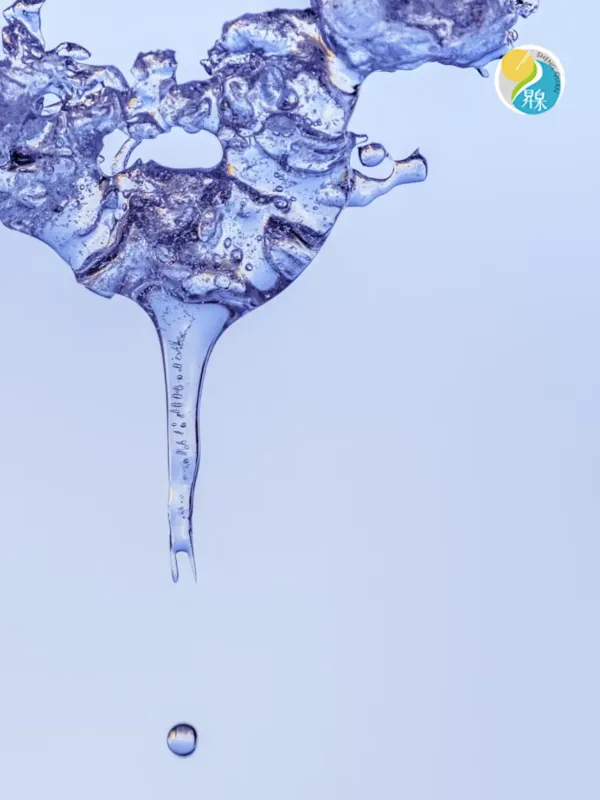 Shengquan Technology - Corporate & E-commerce Web Design Project