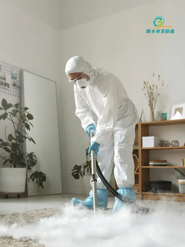 Juncheng Pest Control - Lifestyle & Travel Web Design Project