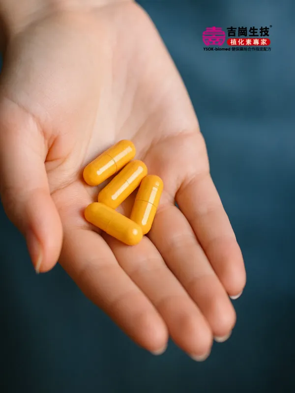 Yoshioka Biotechnology Co.,Ltd. - Corporate & E-commerce Web Design Project